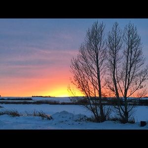 Meet your Posher, Elaine